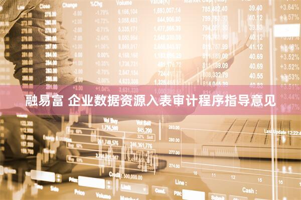 融易富 企业数据资源入表审计程序指导意见