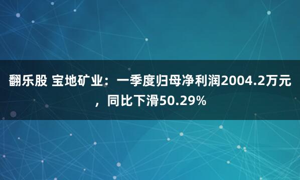 翻乐股 宝地矿业：一季度归母净利润2004.2万元，同比下滑50.29%