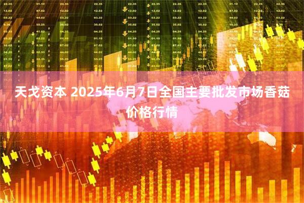 天戈资本 2025年6月7日全国主要批发市场香菇价格行情