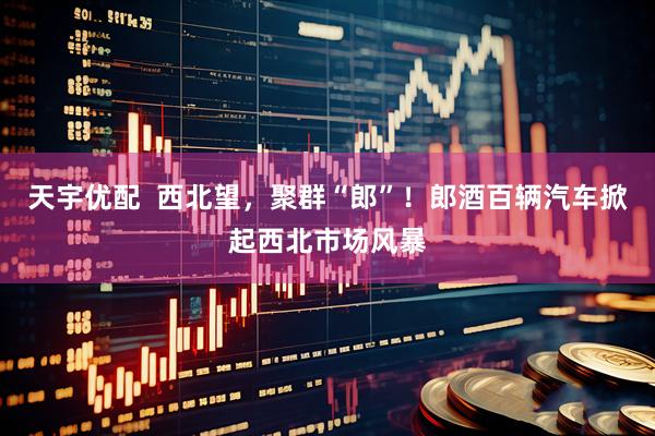 天宇优配  西北望，聚群“郎”！郎酒百辆汽车掀起西北市场风暴