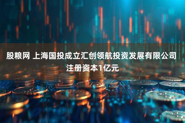 股粮网 上海国投成立汇创领航投资发展有限公司 注册资本1亿元