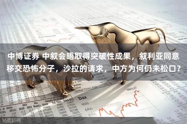 中博证券 中叙会晤取得突破性成果，叙利亚同意移交恐怖分子，沙拉的请求，中方为何仍未松口？