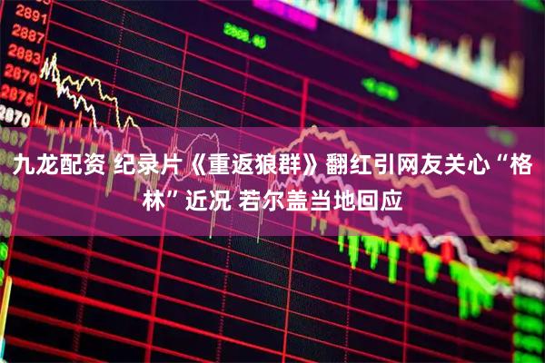 九龙配资 纪录片《重返狼群》翻红引网友关心“格林”近况 若尔盖当地回应