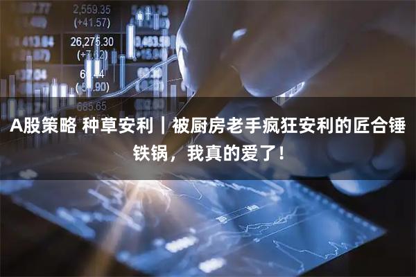A股策略 种草安利｜被厨房老手疯狂安利的匠合锤铁锅，我真的爱了！