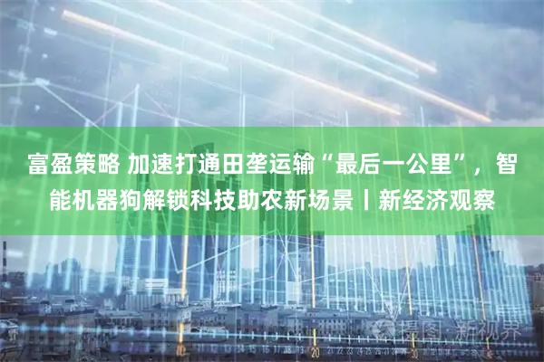 富盈策略 加速打通田垄运输“最后一公里”，智能机器狗解锁科技助农新场景丨新经济观察