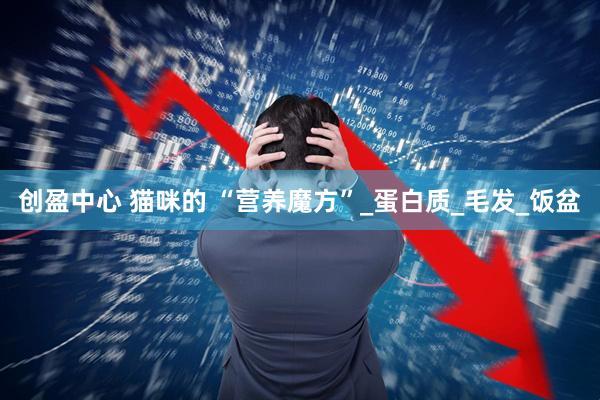 创盈中心 猫咪的 “营养魔方”_蛋白质_毛发_饭盆