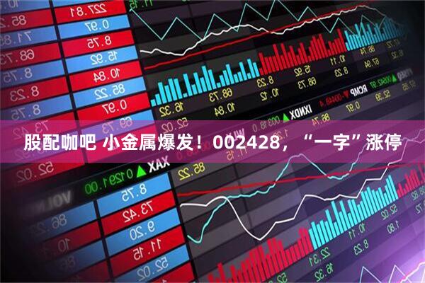 股配咖吧 小金属爆发！002428，“一字”涨停